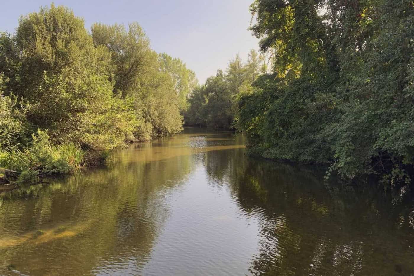 CMG sensibiliza comunidade para&nbsp; a preservação do rio Ave