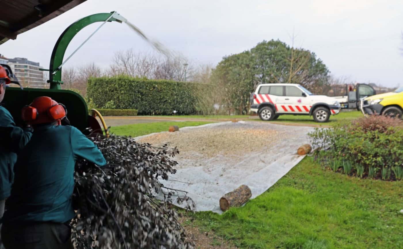 "Limpe mas não queime". CMB quer reduzir queimas e queimadas em 40%