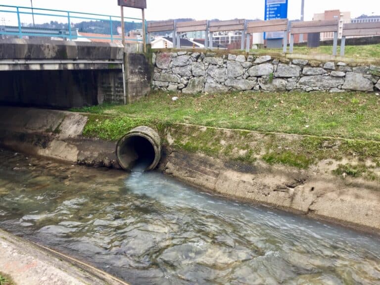 QUERCUS:”CMB e juntas deviam ter papel mais activo na defesa do rio Este”