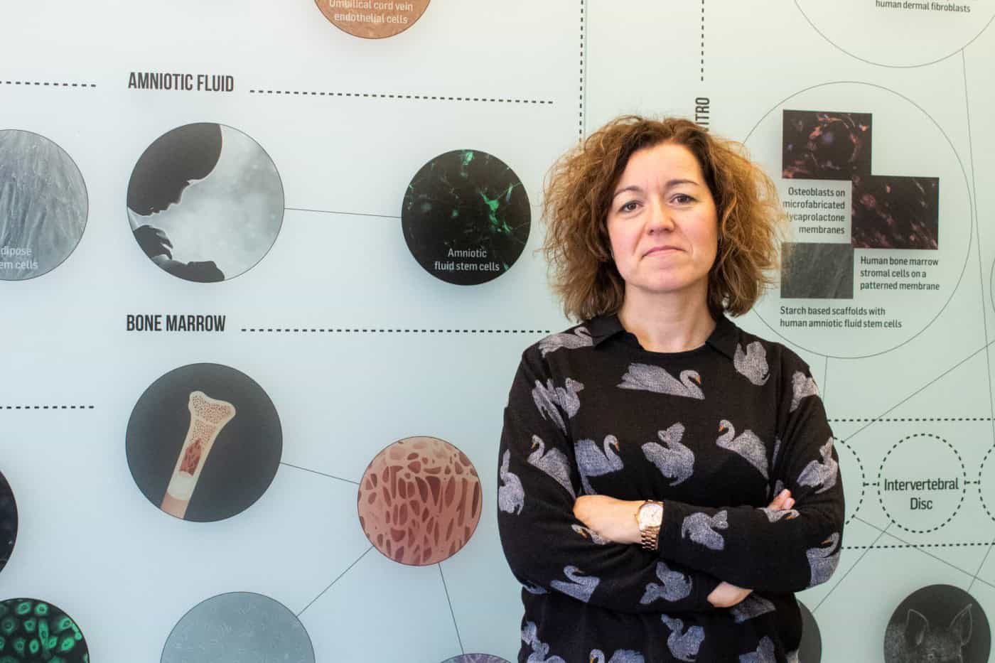 "50% dos problemas musculoesqueléticos estão relacionados com os tendões"