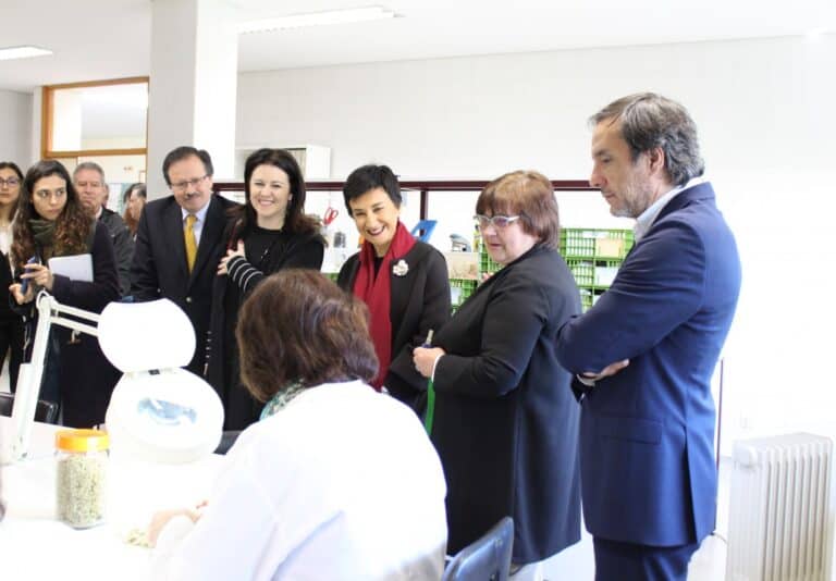 972 sementes partem de Braga para a maior Arca de Noé do mundo