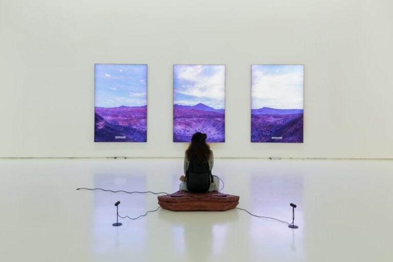 Galeria Duarte Sequeira recebe exposição 'Shaking the Habitual'