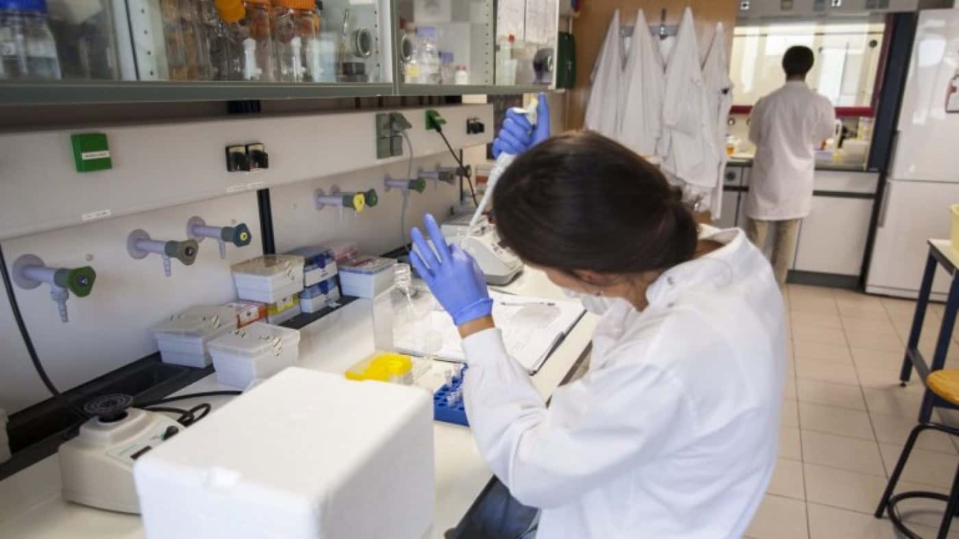 Bolsas de investigação prolongadas por um mês