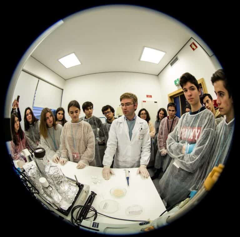 UMinho apresenta Prémio de Iniciação na Investigação Científica