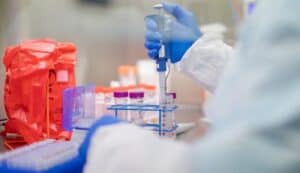 Covid-19. Mais 12 mortes e 219 infectados em Portugal