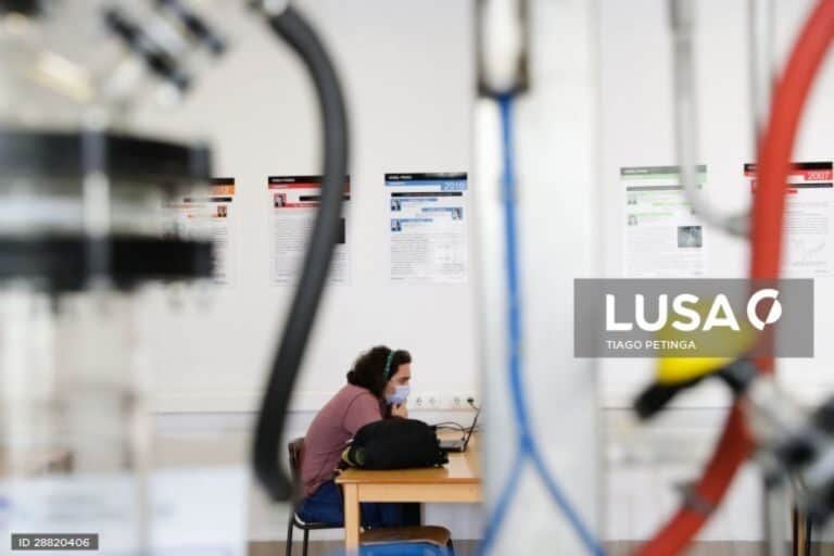 FCT aposta no digital para "não deixar ninguém para trás”