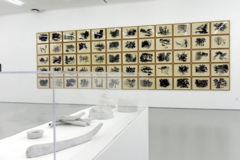 “Mesa dos Sonhos” traz a Braga&nbsp;30 obras da Coleção de Serralves e da FLAD