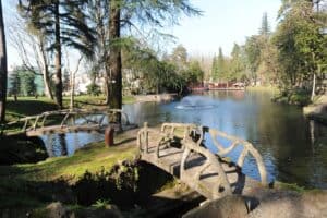 Braga celebra Dia Mundial da Criança com espectáculo no Parque da Ponte