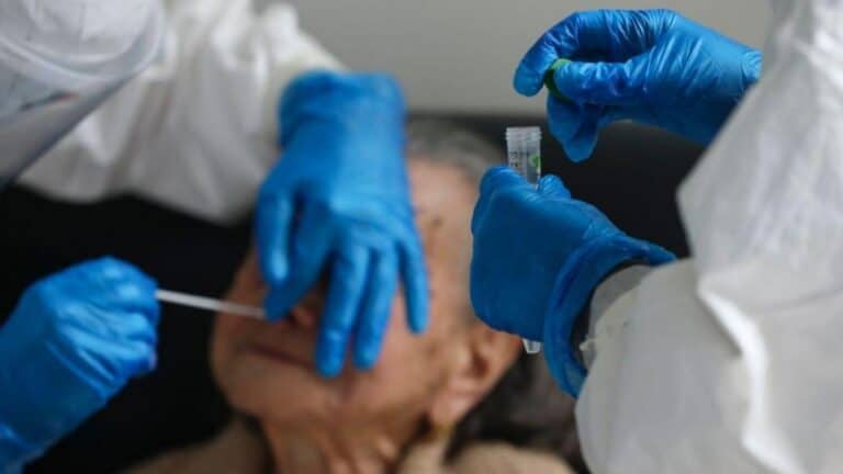 Mutações no vírus da Covid-19 podem afectar diagnóstico, diz estudo da UMinho