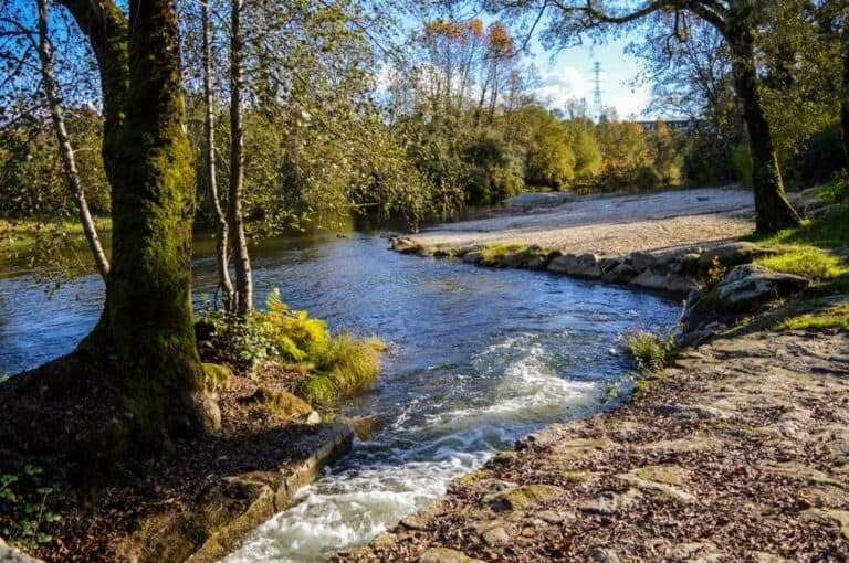 Especialistas estudam impacto do tratamento à Covid-19 na qualidade da água