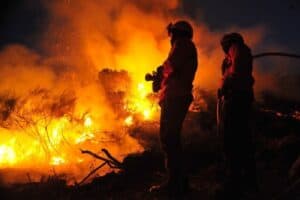 Número de incêndios é o mais baixo dos últimos anos