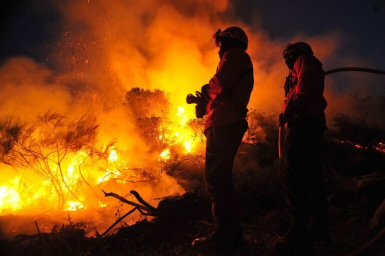 Número de incêndios é o mais baixo dos últimos anos