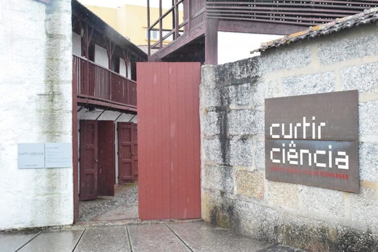 Curtir Ciência de Guimarães organiza cerca de 20 actividades no Verão