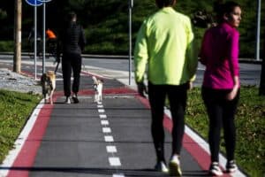 Autarquia admite abate de árvores da ciclovia de Lamaçães à Universidade