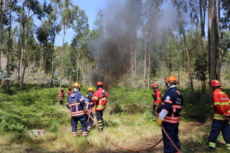 Braga tem Plano Municipal de Defesa da Floresta Contra Incêndios até 2021