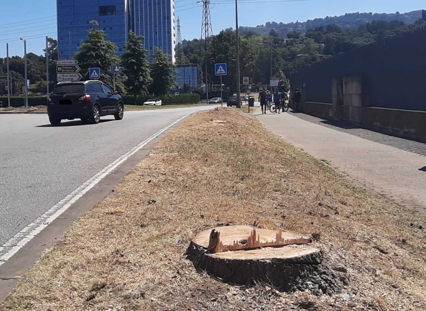 Grupo de cidadãos em protesto por abate de árvores em Braga