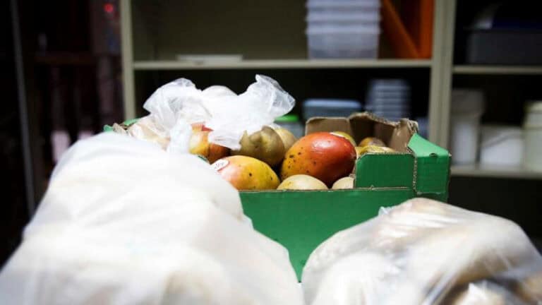 Pedidos de ajuda alimentar sobem e mostram “necessidades envergonhadas”&nbsp;