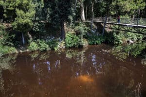 Bloco exige medidas do Governo para travar poluição no Rio Vizela