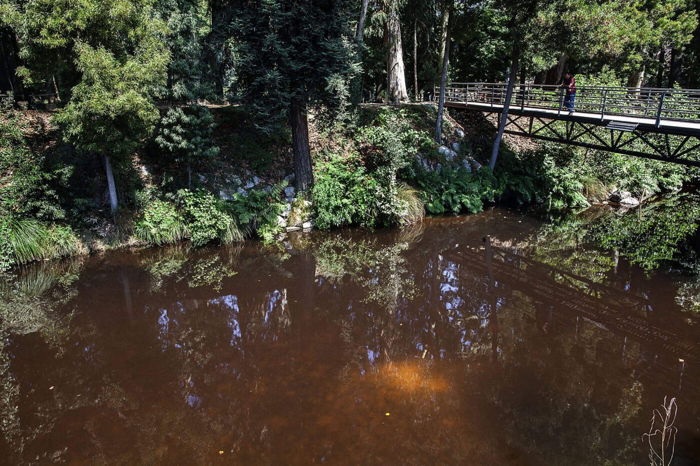 Bloco exige medidas do Governo para travar poluição no Rio Vizela
