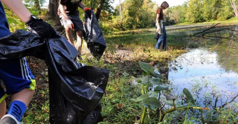 Synergia quer ajudar o ambiente no Dia Internacional da Juventude