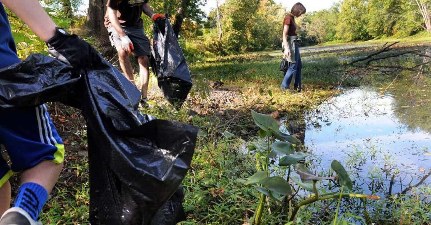 Synergia quer ajudar o ambiente no Dia Internacional da Juventude
