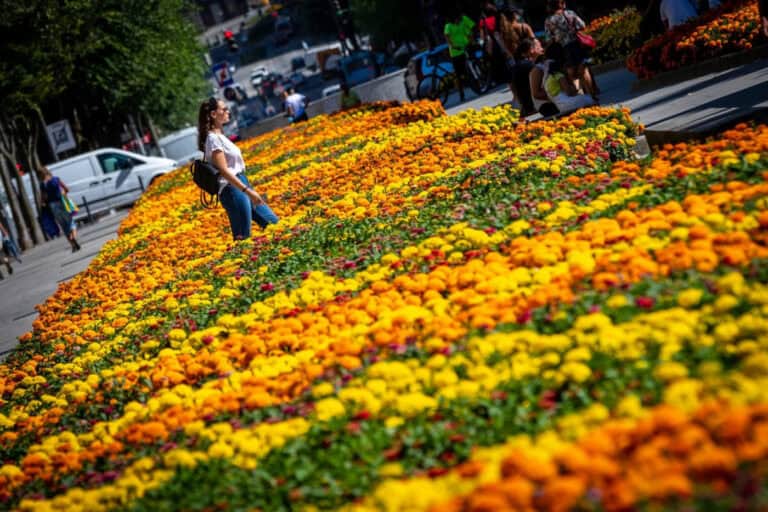 Covid-19. 1341 recuperados e 39 casos activos no concelho de Braga