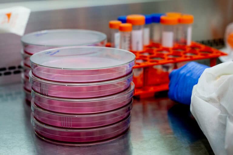 Milhares de docentes e investigadores fora do diploma que prolonga contratos