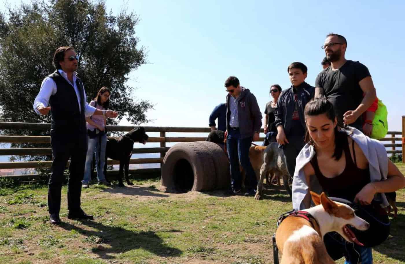 Vereador da CM Braga propõe criação de canil intermunicipal