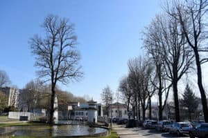 Constrangimentos ao trânsito junto à Escola D. Sancho I vão durar 4 meses 