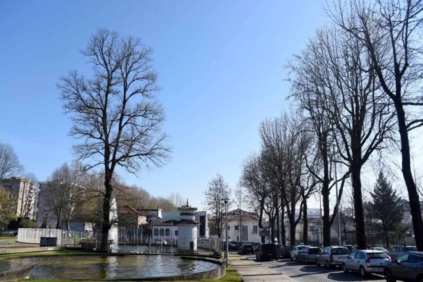 Constrangimentos ao trânsito junto à Escola D. Sancho I vão durar 4 meses