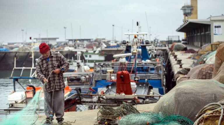 Há 14 pescadores infectados com covid-19 na Póvoa e Vila do Conde