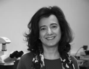 UMinho lança aplicação que ajuda agricultores a gerir diferentes colheitas