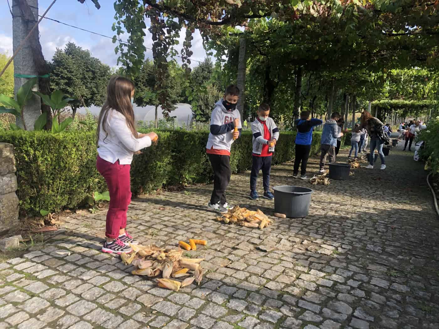 Quinta Pedagógica de Braga prepara planos de contingência para actividades