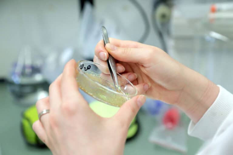 FCT atribui 1350 bolsas de doutoramento