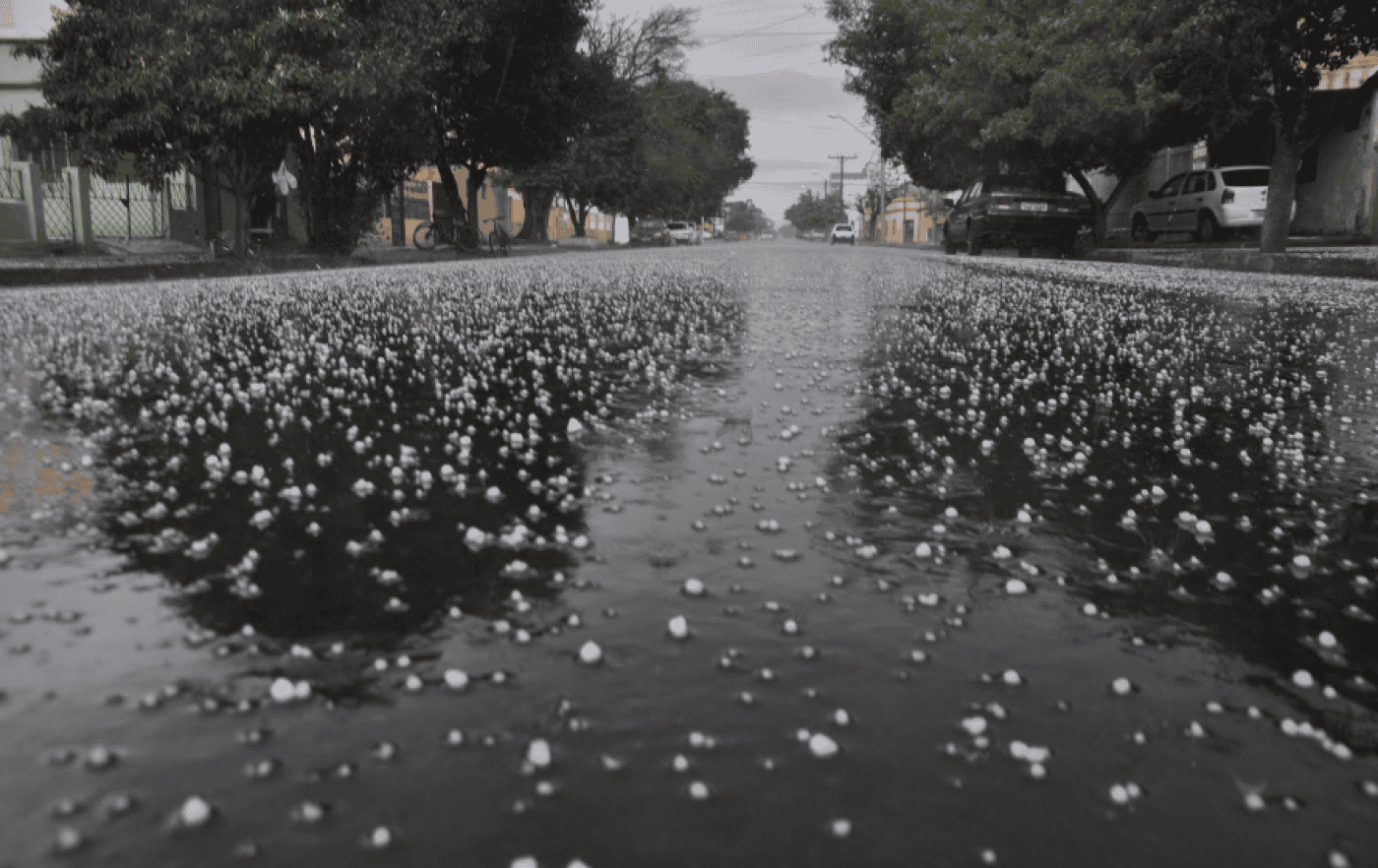 Treze distritos do continente vão estar sob aviso laranja devido à chuva forte