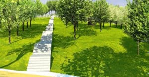 Parque Urbano das Camélias perde dois pinheiros mas ganha 800 árvores