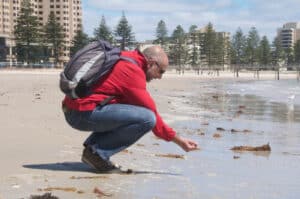 DNA pode dar pistas sobre efeitos das alterações climáticas