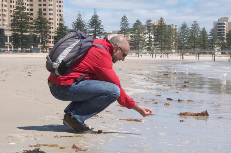DNA pode dar pistas sobre efeitos das alterações climáticas