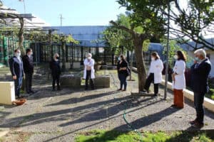 Câmara de Guimarães atenta à situação nos lares