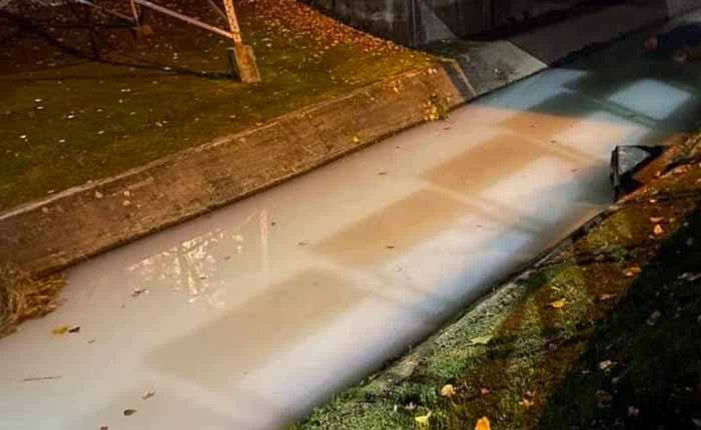 Os Verdes querem "união" de Municípios para o bem do Rio Este