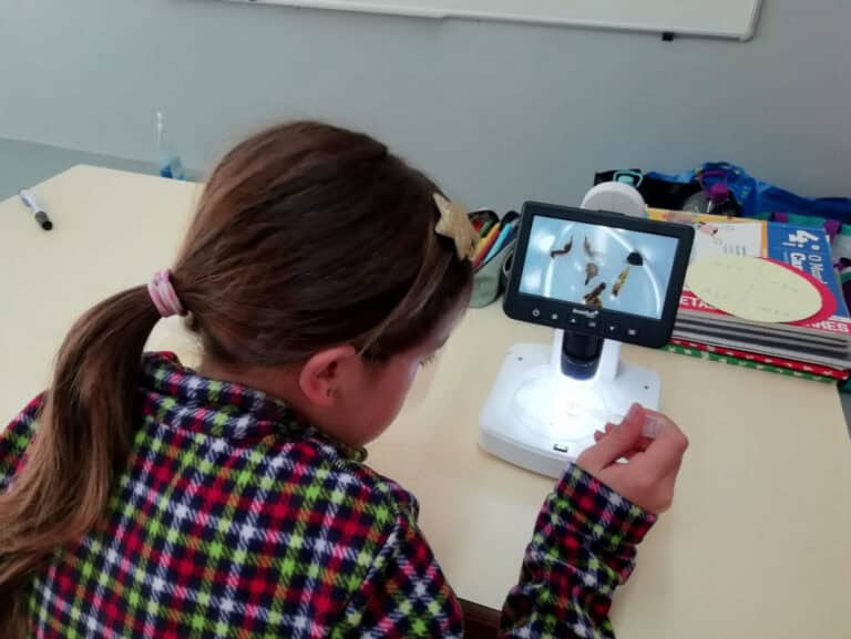 Centro de Ciência Viva de Braga acolhe Semana da Ciência e Tecnologia