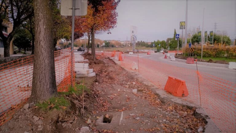 Ciclovia implica novo abate de árvores, mas CMB rejeita responsabilidade