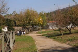 Altino Bessa destaca papel da Quinta Pedagógica no setor da educação ambiental