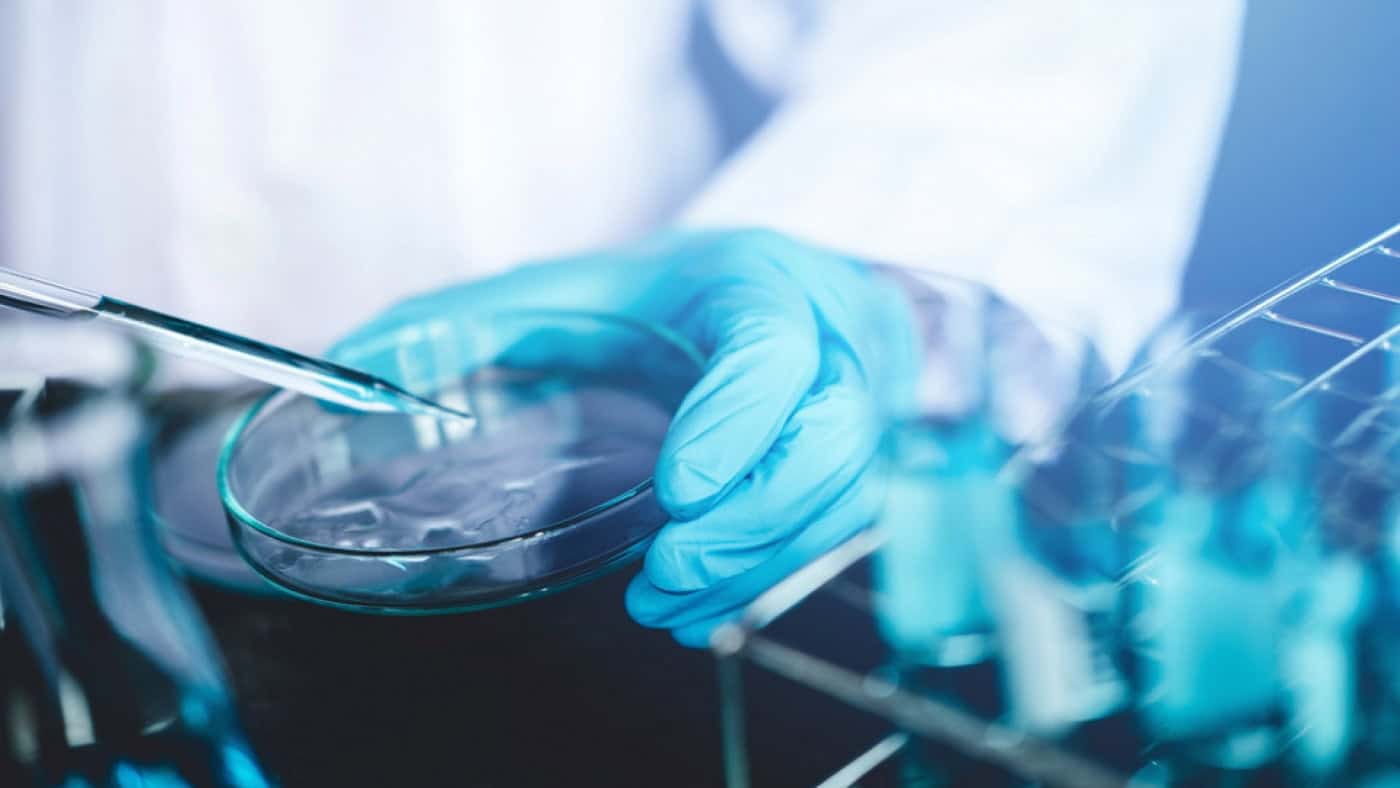 Medicamento espanhol reduz quase totalmente carga viral do SARS-CoV-2