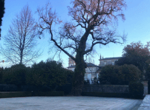 Depois de intervenção na cobertura e fachadas, diretora dos Biscainhos aponta ao jardim do Museu