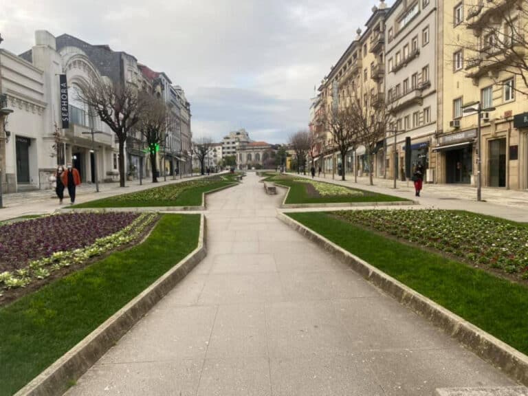 Abate de árvores. BE acusa Câmara de Braga de falta de prevenção