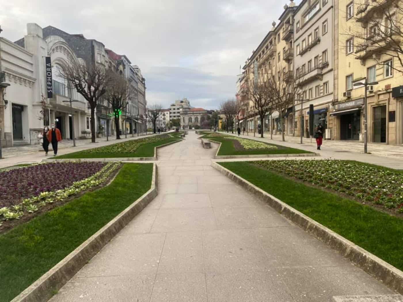 Abate de árvores. BE acusa Câmara de Braga de falta de prevenção