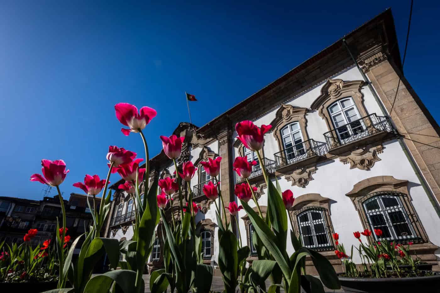 Concelho de Braga sem novos casos de covid-19 em 24 horas