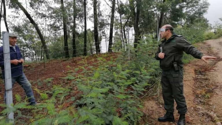 Governo prorroga prazo para limpeza de terrenos até 15 de maio