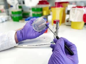 25 dos cientistas mais influentes do mundo são da UMinho